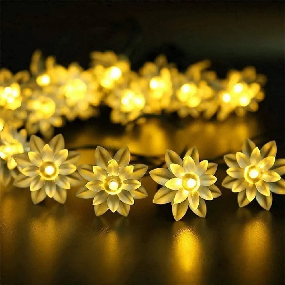 Decorhub 16 Led Lotus Flower Decoration Lights, 3 Meters